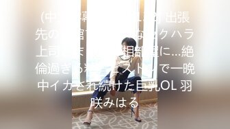 (中文字幕) [SSIS-132] 出張先の旅館で大嫌いなセクハラ上司とまさかの相部屋に…絶倫過ぎる粘着ピストンで一晩中イカされ続けた巨乳OL 羽咲みはる