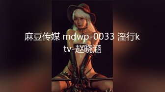 麻豆传媒 mdwp-0033 淫行ktv-赵晓涵