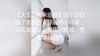   2K+原画捶子探花探温婉可人的居家型姐姐