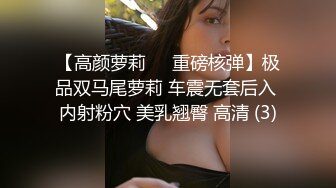 【高颜萝莉❤️重磅核弹】极品双马尾萝莉 车震无套后入 内射粉穴 美乳翘臀 高清 (3)