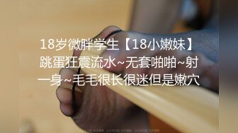 精東影業JD118精東婦仆調教手冊-神谷憐