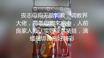    丧志母狗无脑调教，调教界大佬，两条母狗来家中，人前良家人妻，实则淫荡娇娃，滴蜡捆绑自慰好精彩