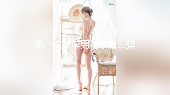 TZ-079.黑丝空姐贴身服务.麻豆传媒映画原创伙伴兔子先生