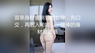 小奶狗镜头前飞机撸射