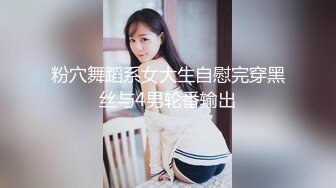 麻豆传媒 MCY-0027 空姐女友被强暴 苏清歌