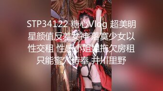 STP34122 糖心Vlog 超美明星颜值反差女神 落寞少女以性交租 性感小姐姐拖欠房租只能蜜穴侍奉 井川里野