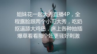 极品稀缺重磅 癖好特殊专攻TS大神【BJ大佬】私拍，记录各地9位顶级露脸TS美好性瞬间DFKLJG1D (10)3310小鱼