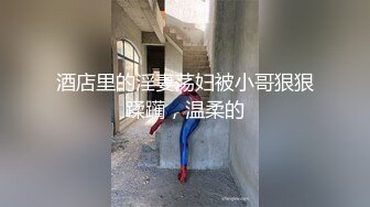 极品少妇，红色情趣装2