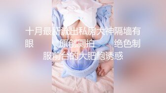 STP33129 豪乳女神 Diary 淫亂實錄 豪乳女友幻身狐尾女仆用蜜穴盡心伺候單男