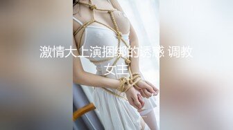 【AV佳丽】成人游戏最终以与巨乳黑发的热辣性爱告终