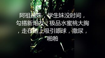 大像传媒之變態性愛多人派對