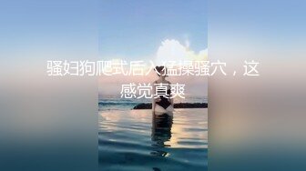 开档无缝黑丝母狗假鸡巴后入自慰