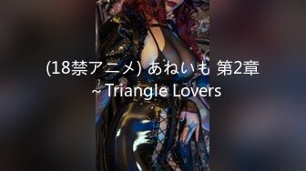 (18禁アニメ) あねいも 第2章 ～Triangle Lovers