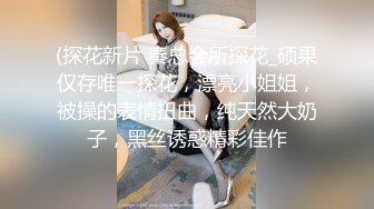 大奶肥臀少妇王素洁性爱视频