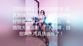 新人探花小哥3100元酒店约炮极品风骚大眼小少妇，肉肉身材手感贼棒