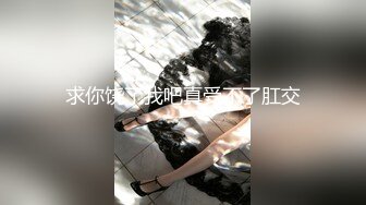 后入骚同事