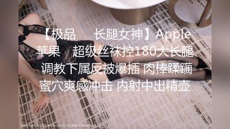 后入渔网大屁股骚逼直接射