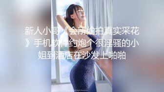 小小小仙儿