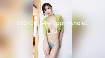 030709_544-1pon-whole1_hd