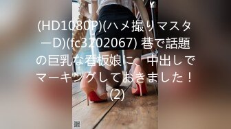 MD-0245暴乳女记者-林襄