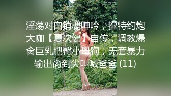 淫荡对白销魂呻吟，推特约炮大咖【夏次健】自传，调教爆肏巨乳肥臀小母狗，无套暴力输出肏到尖叫喊爸爸 (11)