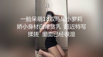 超级御姐！无敌甜美大长腿，把美腿伸直了自慰 (3)