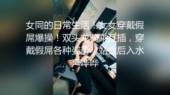 清玉洁的气质眼镜学妹