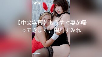 太完美了 满足幻想 AI绘画 付费打包 S级画师PixivID9171005 普通+FANBOX