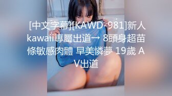 男友泄密 陕西美女被无良男友泄密 2V (2)