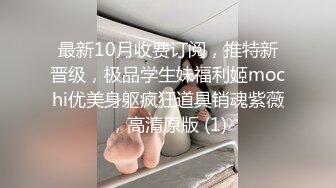 糖心Vlog 肉丝长腿女模下海记 淑怡