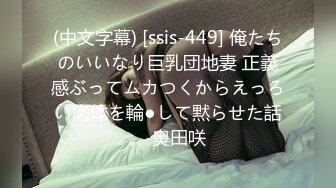 (中文字幕) [ssis-449] 俺たちのいいなり巨乳団地妻 正義感ぶってムカつくからえっろい肉体を輪●して黙らせた話。 奥田咲