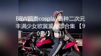 BBW超贵cosplay各种二次元丰满少女欧翼翼全部合集 【903V】 (11)