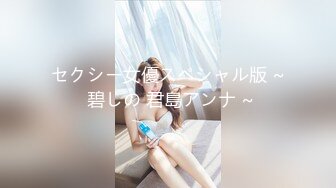 セクシー女優スペシャル版 ~ 碧しの 君島アンナ ~