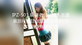 IPZ-501 瞞著老公和情人去溫泉旅行瘋狂做愛..希誌愛野[中字高清](無碼破解)