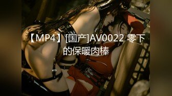 【MP4】[国产]AV0022 零下的保暖肉棒