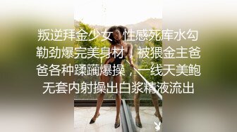 清纯欲女二次元小姐姐的网袜游戏 扛腿猛操+网袜后入+跪舔深喉 完美露脸