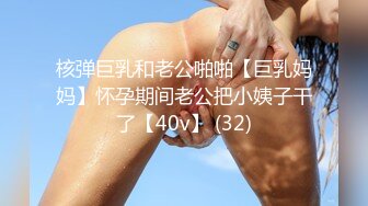 核弹巨乳和老公啪啪【巨乳妈妈】怀孕期间老公把小姨子干了【40v】 (32)