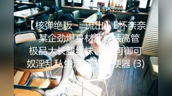 【核弹绝版❤️流出】E杯奈奈✨ 某企劲爆身材反差婊高管 极品大长腿丝袜诱惑 可御可奴淫乱私生活 妥妥肉便器 (3)