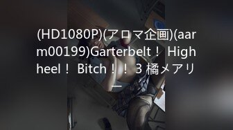 (HD1080P)(アロマ企画)(aarm00199)Garterbelt！ Highheel！ Bitch！！ 3 橘メアリー