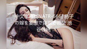 (中文字幕) [NATR-666] 息子の嫁を妄想で寝取る義父 池谷佳純